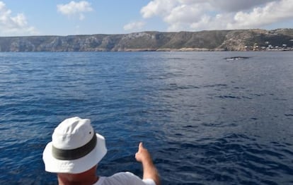 Avistamiento de ballena frente a Les Rotes de Dénia.