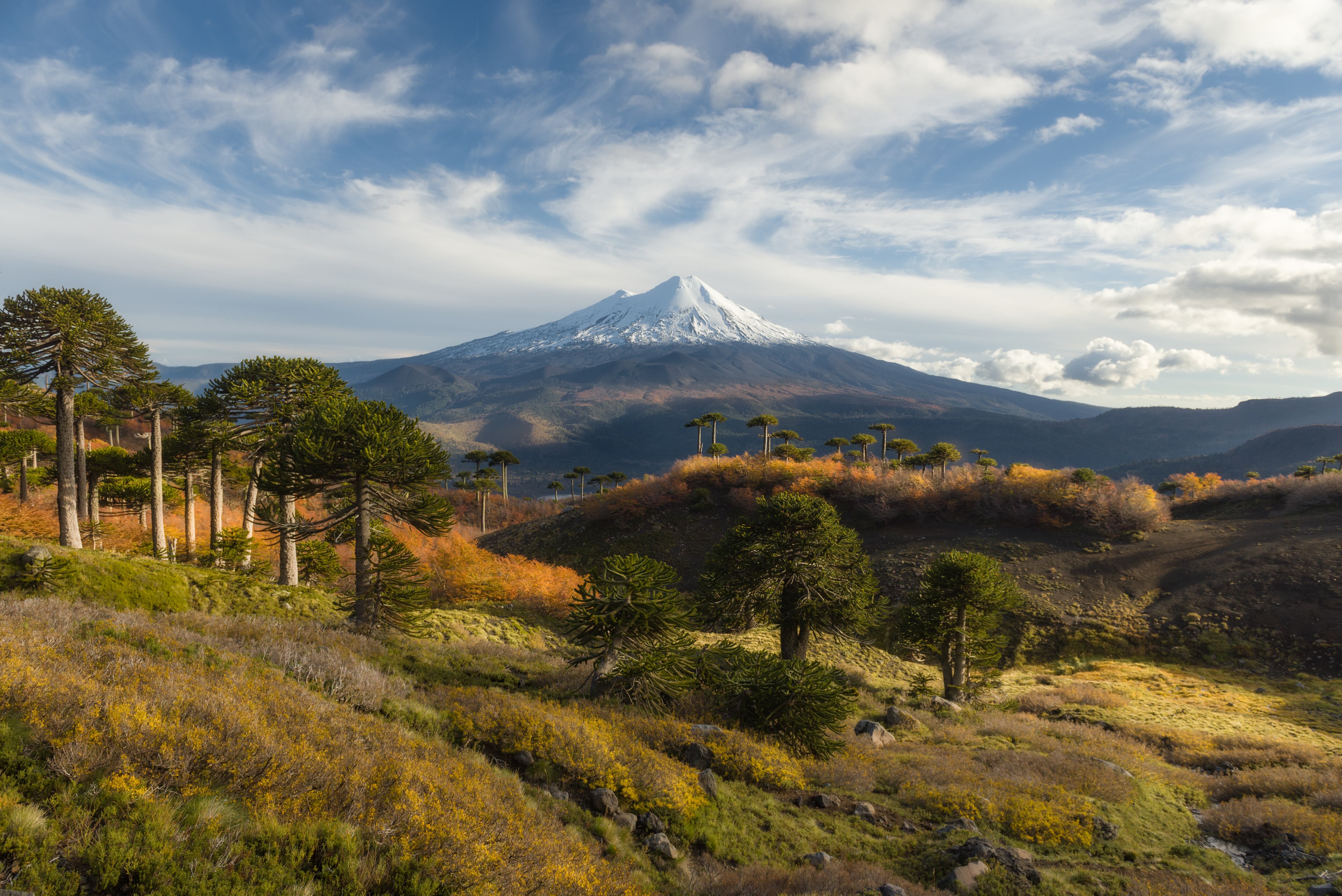Cultura y biodiversidad: unidas por la resiliencia climática