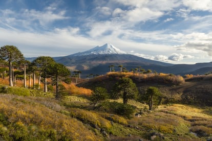 Vista del volcán Llaima en el Parque Nacional Conguillío en Chile. 