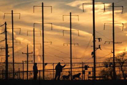 Un hombre juega con sus perros en un parque en Trenton, Nueva Jersey (EE UU), 9 de enero de 2014.