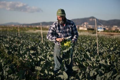 Un agricultor en Sant Boi (Barcelona)