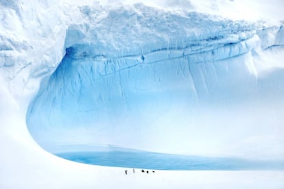 Hielo y pingüinos en la isla de Rey Jorge, en la Antártida.