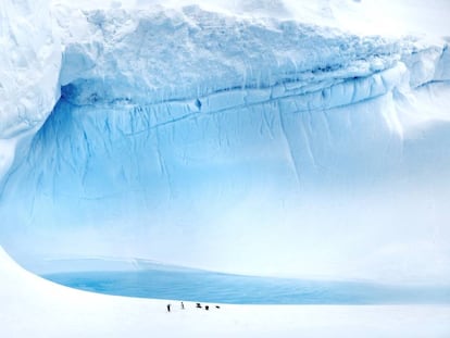 Hielo y pingüinos en la isla de Rey Jorge, en la Antártida.