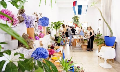 En Casa Protea, punto de encuentro para amantes de las plantas en Barcelona, se pueden comprar especies de todo el mundo.