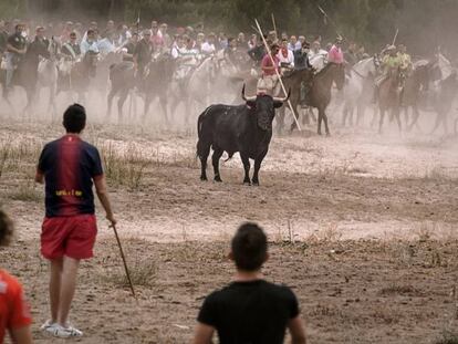 El 'Toro de la Vega', uno de los festejos que recorre 'Santa Fiesta'.