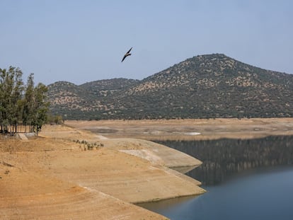 Embalse del Pintado en Sevilla, al 24,8% de su capacidad, del que provenía el agua supuestamente robada por latifundistas de la Comunidad de Riego del Viar.