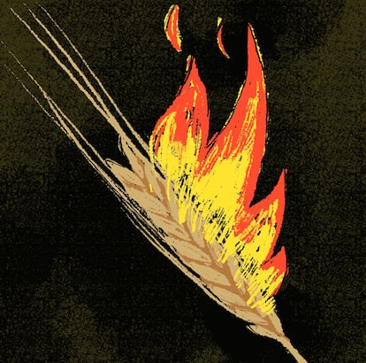 Ilustración de Enrique Flores para la tribuna 'Un nuevo capítulo para el pan', de Lídia Jorge, 10 de agosto de 2025.