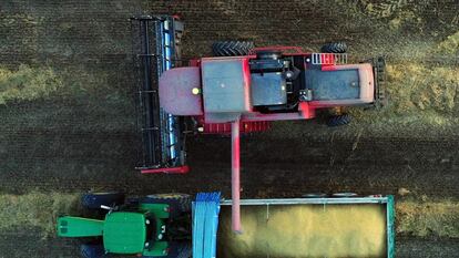 Imagen tomada desde un dron de una cosechadora combinada que recolecta la cebada en un campo cercano a la localidad de Villaveta (Burgos).