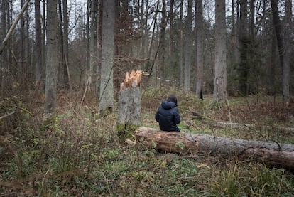 Kasia Wappa consulta su móvil mientras busca al grupo de sirios en el bosque de Bialowieza. 