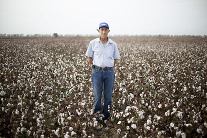 José Doña, es propietario de la finca 'Pinzón', tiene vendida la cosecha de este año a la empresa 'Algodonera del Sur (ALGOSUR)'.