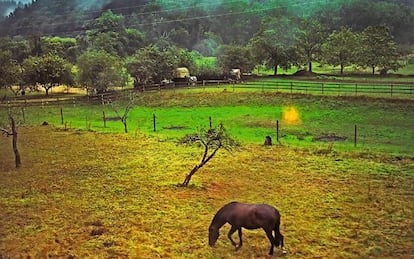 Paisaje por los que atraviesa el Transcantábrico Gran Lujo.