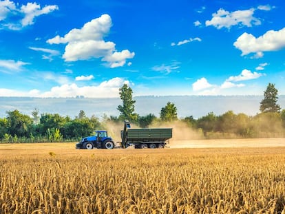 Nuevas ayudas para el emprendimiento rural