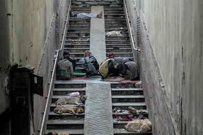 Un grupo de drogadictos se reunía para fumar heroína debajo de un puente de Kabul, rodeados de perros adictos que dormitan en las escaleras, en una imagen tomada el 7 de junio. 