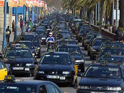 Numerosos taxistas circulan a marcha lenta y colapsan el tráfico en el paseo Colón, ayer por la mañana.