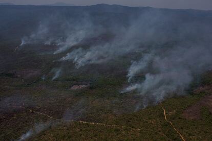 Segundo os últimos dados disponíveis, divulgados terça-feira, já arderam 62.000 hectares e o núcleo principal do parque foi arrasado pelo fogo