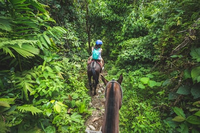 Costa Rica a caballo, una forma diferente de conocer el país. Una propuesta para los que quieran probar una forma distinta de adentrarse en la naturaleza centroamericana es el llamado Camino de Costa Rica, de unos 280 kilómetros, que puede recorrerse en unos 15 días a caballo. En cada día de esta odisea de mar a mar, el jinete enfila un territorio totalmente nuevo: desde las blandas arenas del Caribe hasta la densa selva costarricense. Las altiplanicies de este país tan diverso y rico supondrán el mayor desafío, pues se cruza la espina dorsal de Centroamérica, muy lejos de vías turísticas, y se desciende hacia el Pacífico. Se pasa por remotas aldeas, zonas indígenas y reservas naturales.