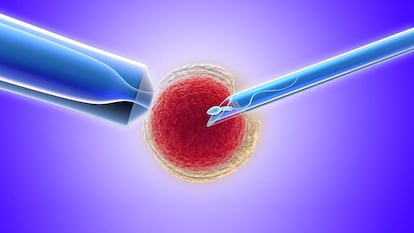 Sanidad pública o privada: ¿cuánto cuesta tener un hijo por reproducción asistida?