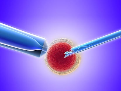 Sanidad pública o privada: ¿cuánto cuesta tener un hijo por reproducción asistida?