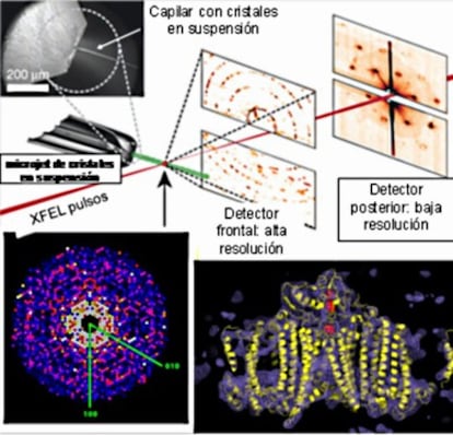 Un dispositivo para el estudio de nanocristales del complejo proteínico PS-I. En este experimento el detector recoge datos de difracción (puntos) que luego son procesados, integrados y condensados. Un plano (panel izquierdo) de los datos obtenidos a partir de aproximadamente 15.000 patrones obtenidos cuando los fotones del XFEL encuentran un nanocristal en su camino . A la derecha, reconstrucción por medio de la densidad electrónica (contornos azules) de la estructura (cinta amarilla) de PS-I.