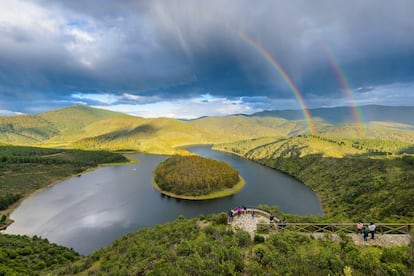 En la frontera natural entre Salamanca y Cáceres que forma la conjunción de la sierra de Francia y Las Hurdes surge este meandro tan característico del río Alagón. Pozas naturales y el silencio de los pinos y castaños son protagonistas de un espacio para la contemplación y la protección donde toca poner a trabajar los prismáticos para descubrir la presencia de especies icónicas y amenazadas, como el buitre negro o la cigüeña negra.