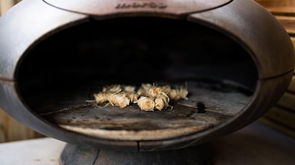 natural fireplace starter