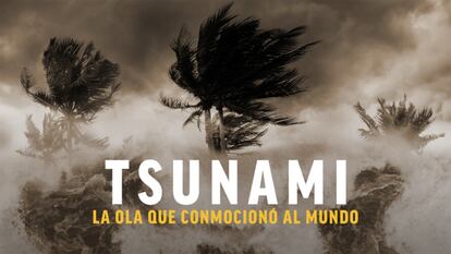 ‘Tsunami la ola que conmocionó al mundo’