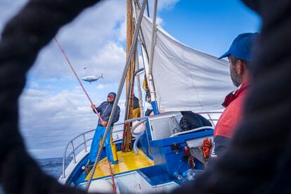 Pesca de Atún, ‘Nuevo Olimar