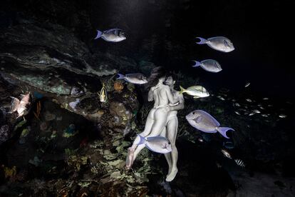 Imagen de Isabel Muñoz, tomada en el Oceanogràfic, que forma parte del proyecto 'Somos agua'.