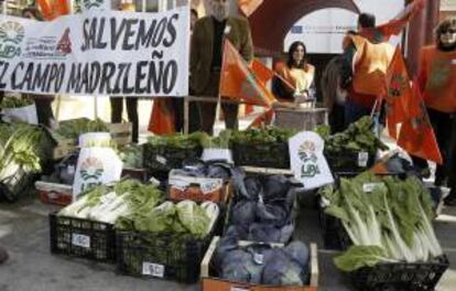 La organización agraria UPA ha convocado hoy una concentración en defensa del sector agrario en la que ha entregado alimentos a una ONG ante la sede de la Unión Europea en Madrid.