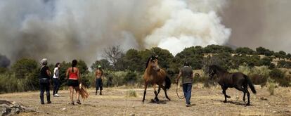 Los vecinos intentan domar a un par de caballos asustados por las llamas.