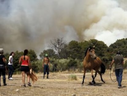 Los vecinos intentan domar a un par de caballos asustados por las llamas.