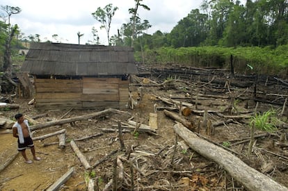 Un hombre tzeltal observa un área deforestada como parte de un asentamiento en la reserva natural de Montes Azules, en 2002.