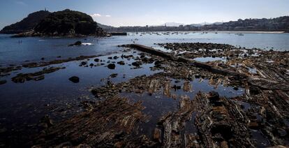 Vista de las rocas de la playa de Ondarreta de San Sebastián, que aunque normalmente están sumergidas, han quedado al descubierto en una marea anormalmente baja.