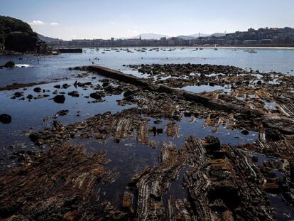 Vista de las rocas de la playa de Ondarreta de San Sebastián, que aunque normalmente están sumergidas, han quedado al descubierto en una marea anormalmente baja. 