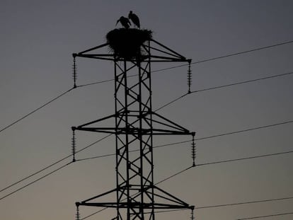 Tendido eléctrico cercano a la catedral de Pamplona.