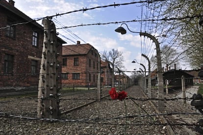 Claveles en la alambrada del antiguo campo de concentración nazi de Auschwitz en Oswiecim. Miles de personas, jóvenes de todo el mundo en su mayoría, se han reunido en una marcha por la vida para conmemorar el Holocausto.