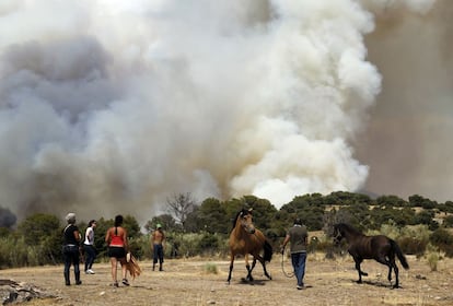 Los caballos, asustados por el humo y las llamas, en Valdemaqueda. Las llamas afectan a un área muy escarpada, lo que dificulta especialmente las tareas de extinción del fuego tanto por tierra como por aire.