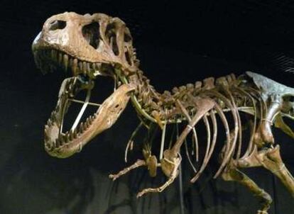 Esqueleto de <i>Tarbosaurus</i> en la exposición <i>Dinosaurios. Tesoros del desierto de Gobi</i>.