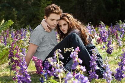 En 2012, la pareja protagonizó la considerada como peor película del año, ‘Crepúsculo: Amanecer Parte 2’.