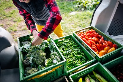 La alimentación sostenible, un segmento de impacto en alza.