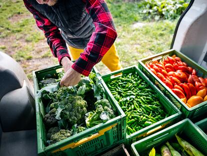 La alimentación sostenible, un segmento de impacto en alza.