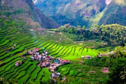 Arrozales en Batad, al norte de Luzón (Filipinas), declarados patrimonio mundial.