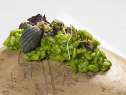 La paella verde con arroz y marisco de manglares de la costa colombiana del Pacífico cocinado por Leonor Espinosa.