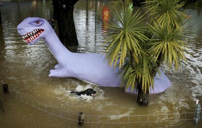 Un perro nada cerca de un dinosaurio hinchable en el Playland Miniature Golf Course de la localidad Guerneville, California (EE.UU).