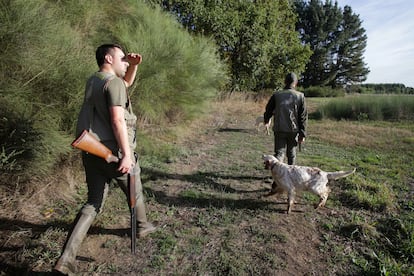 Dos cazadores caminaban en los alrededores de Vilela (Lugo) en busca de caza menor, en octubre de 2022.
