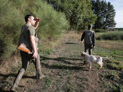 Dos cazadores caminaban en los alrededores de Vilela (Lugo) en busca de caza menor, en octubre de 2022.