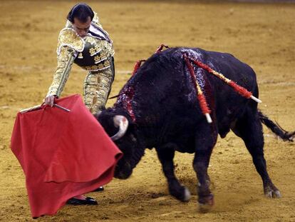Leandro da un pase con la muleta en la plaza de Vistalegre de Madrid.