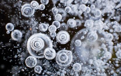 Burbujas de aire atrapadas en un estanque helado en el jardín Georgengarten del parque público Herrenhaeuser Gaerten en Hannover (Alemania), el 9 de febrero de 2018.