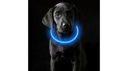 Collar luminoso para perro.