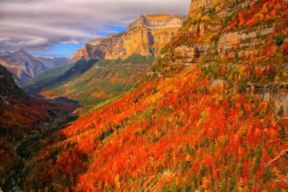 Fall perspectives in Ordesa valley, in Huesca.